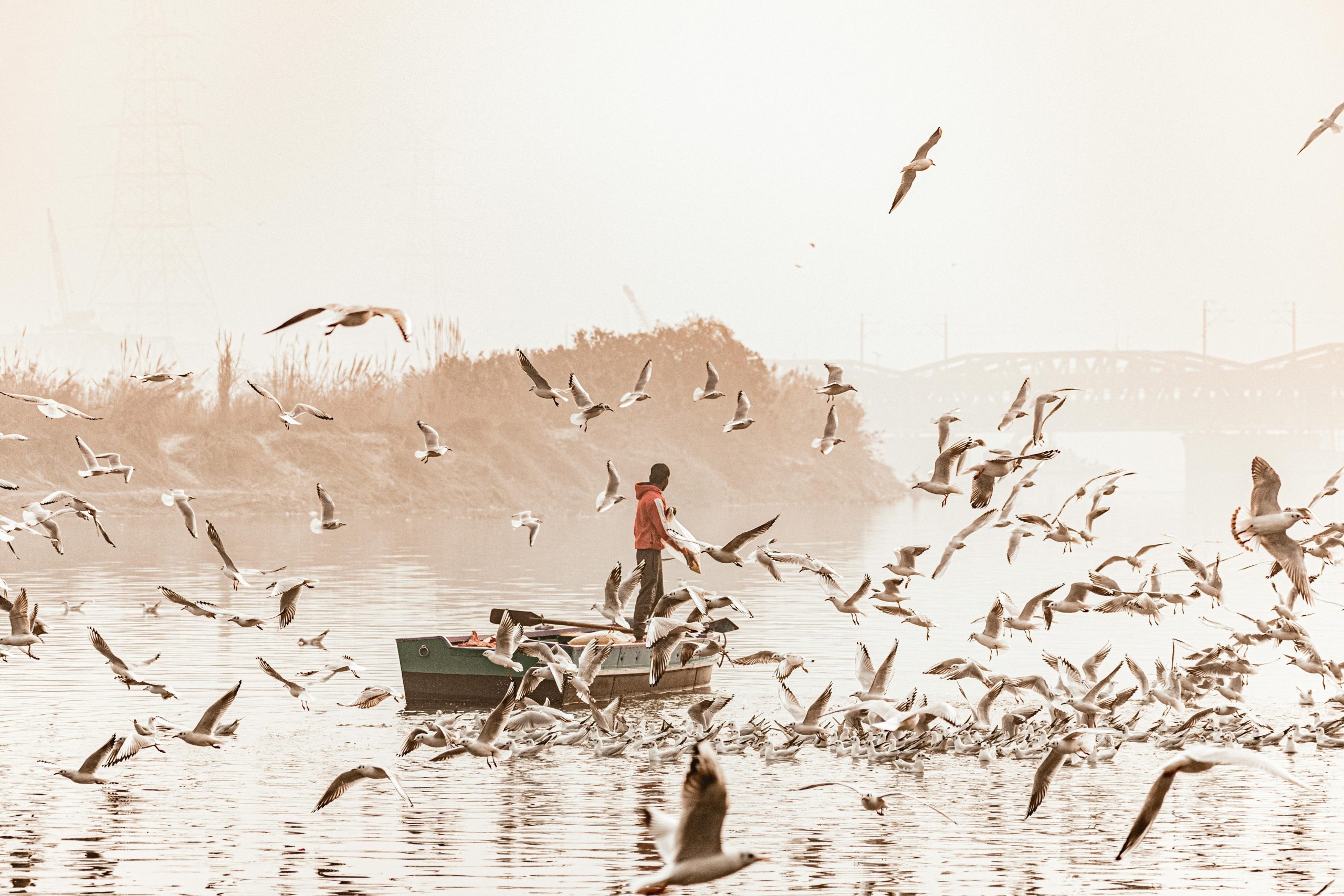 Nature & Bird watching Tours